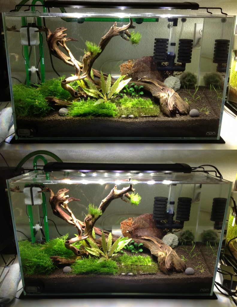 tank2